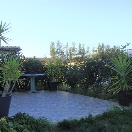 Cavone 2 Apartment Castellare-di-Casinca Luaran gambar