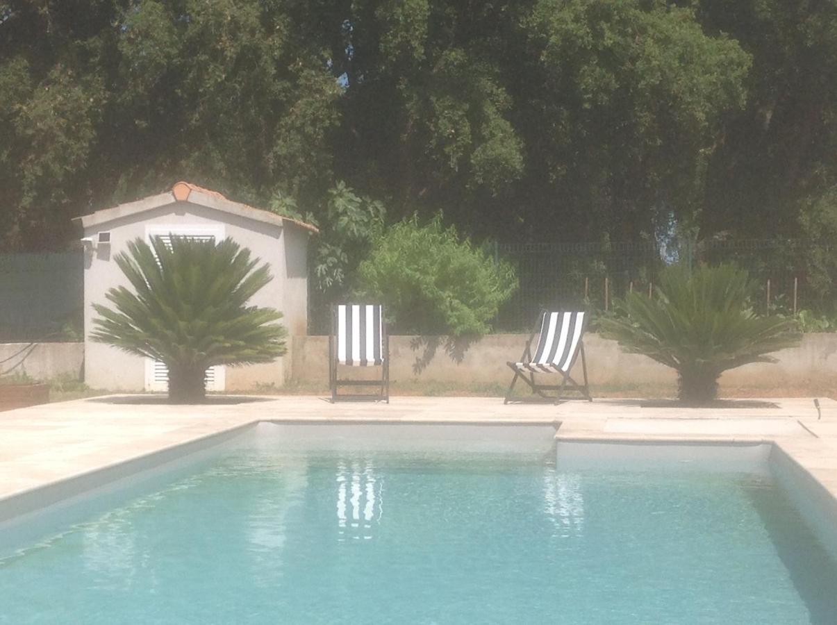 Cavone 2 Apartment Castellare-di-Casinca Luaran gambar